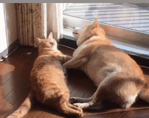 怎么刷钻教程（附：永久免费刷钻的方法和代码）-互联网动态-推扬网-tuiyang.com的简单介绍