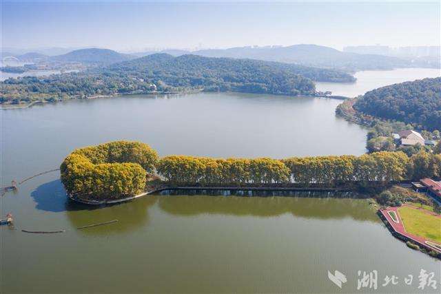 掌上东湖软件下载-掌上东湖手机客户端下载v1.0.3_5577安卓网的简单介绍 掌上东湖软件下载-掌上东湖手机客户端下载v1.0.3_5577安卓网的简单介绍