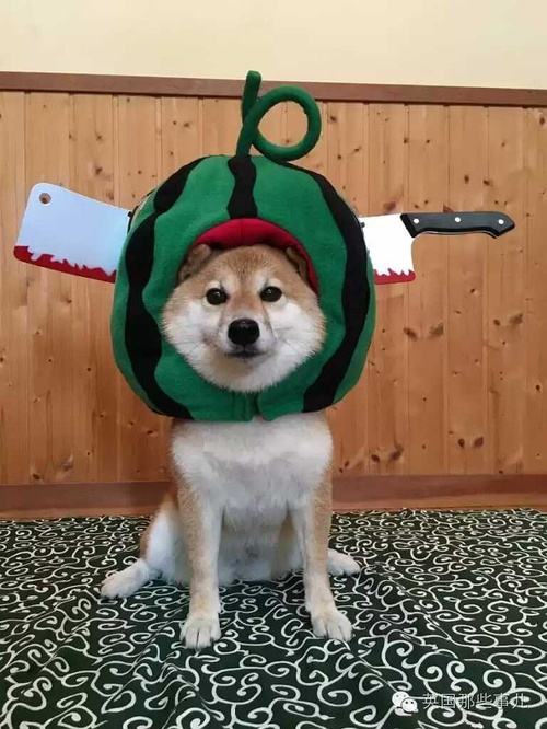 包含雇了多少五毛啊!的词条 包含雇了多少五毛啊!的词条