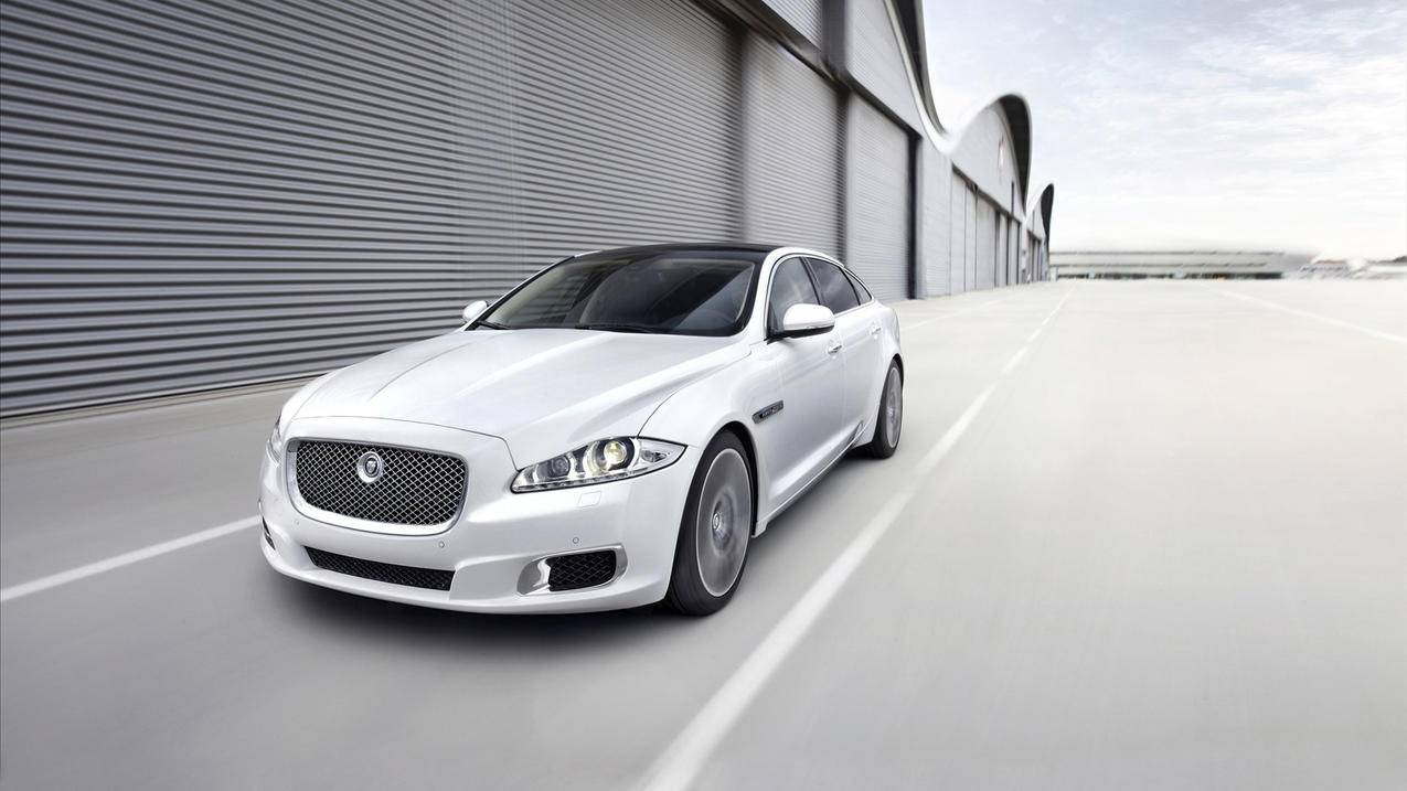 白色代刷网（代刷网的永久是真的吗）