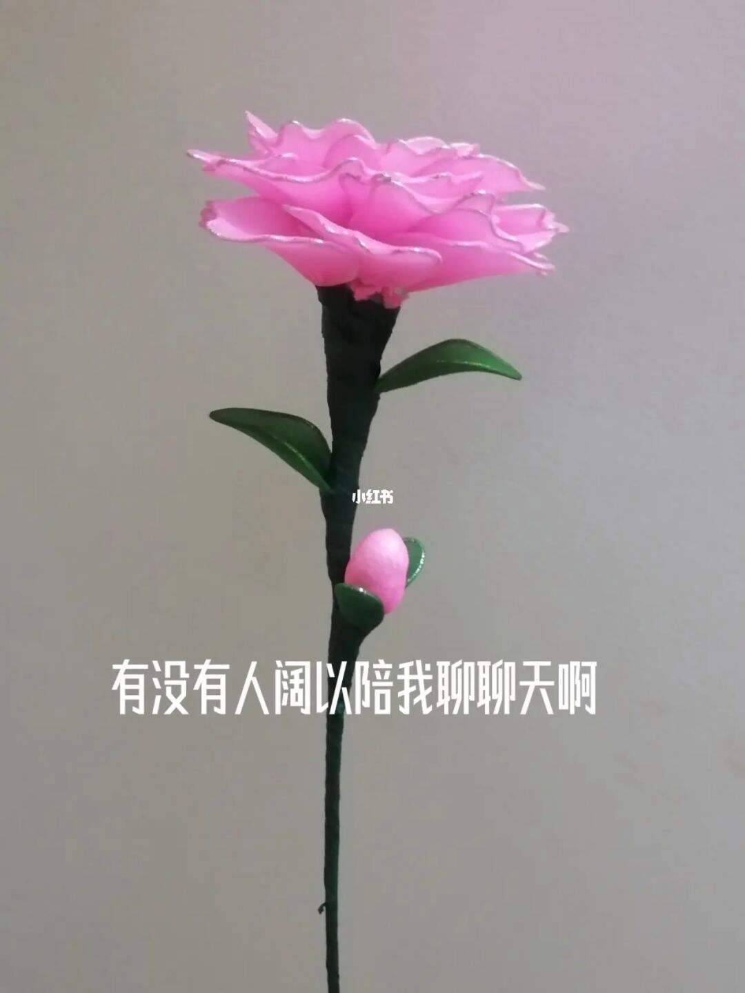 0.01qq说说赞(说说赞50个只要50个) 0.01qq说说赞(说说赞50个只要50个)