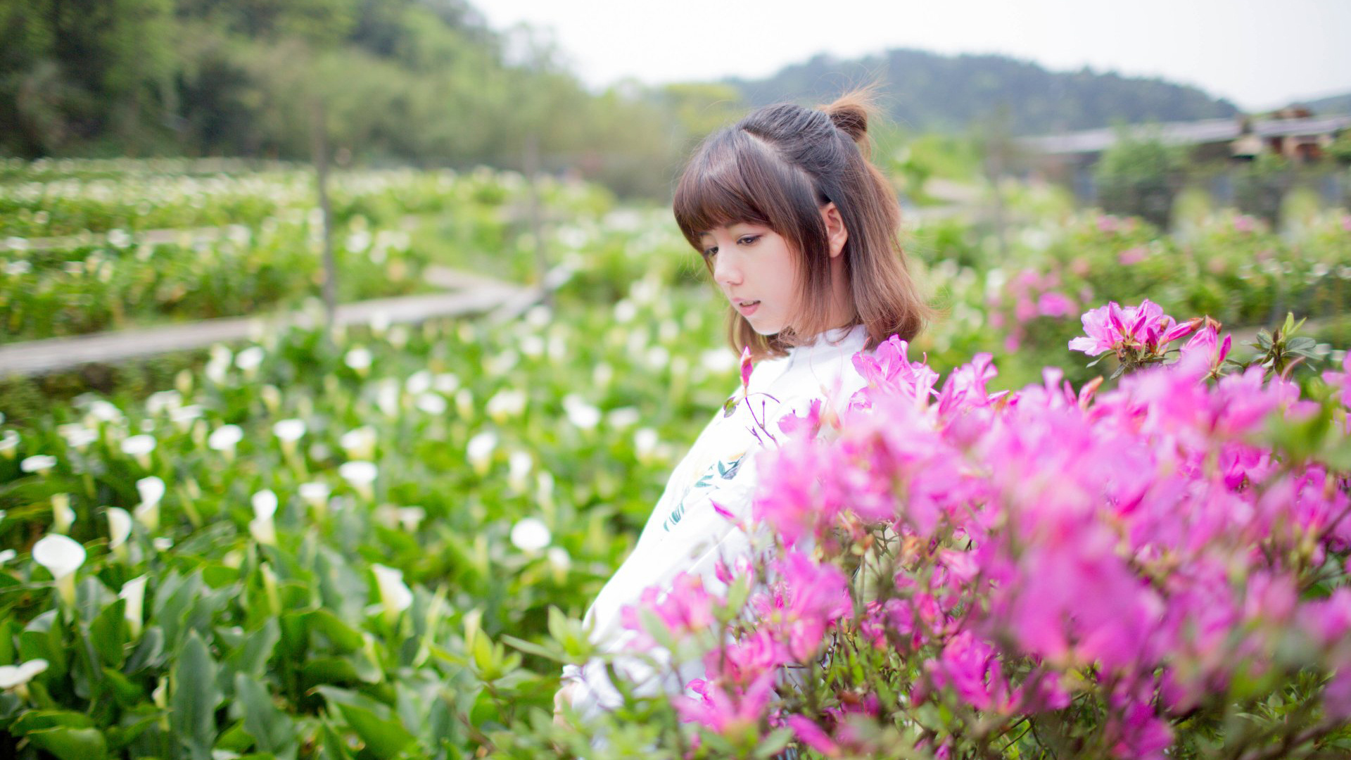 网红代刷网（网红代刷是真的吗）