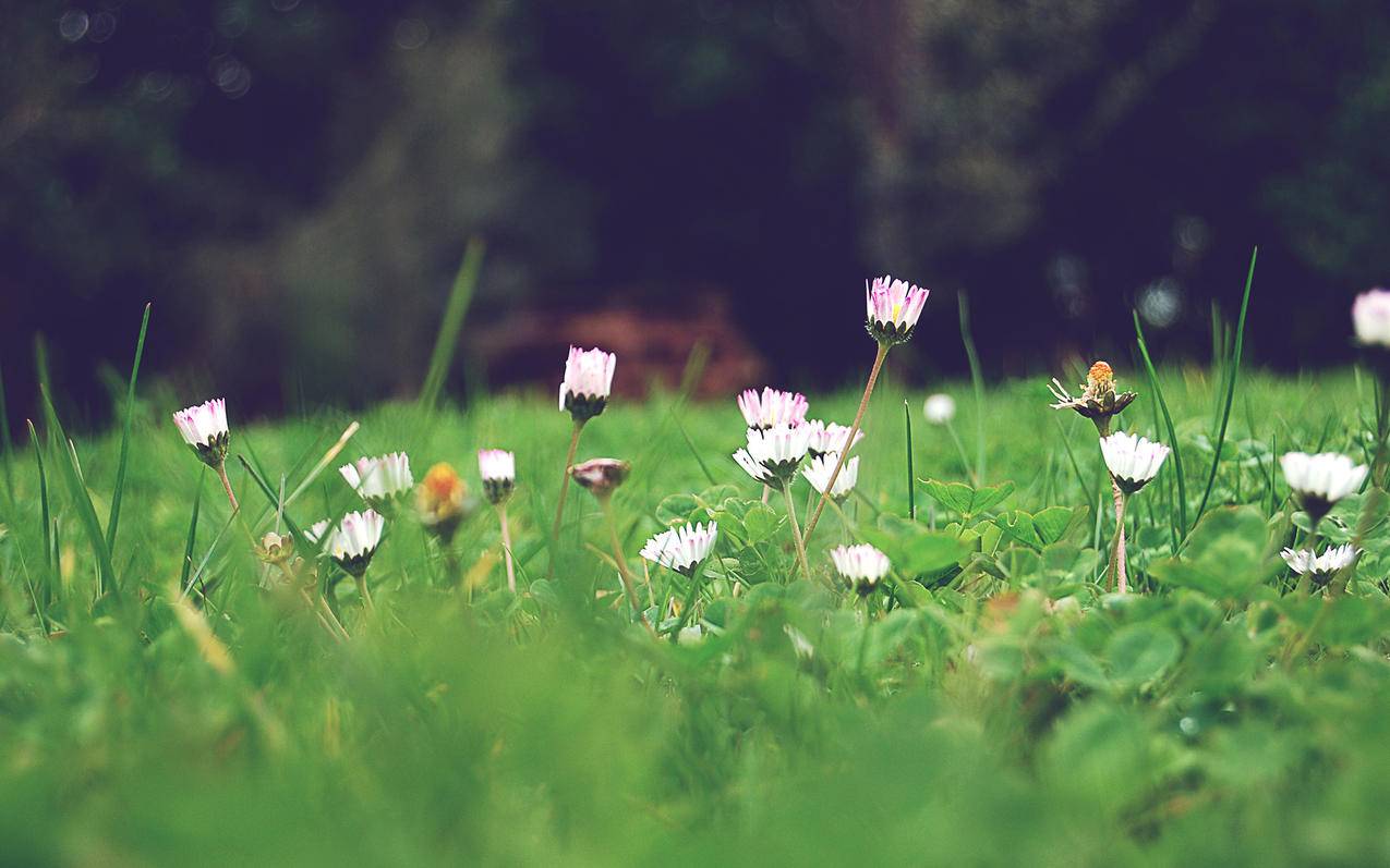 晨曦秒赞网(晨曦免费秒赞平台) 晨曦秒赞网(晨曦免费秒赞平台)