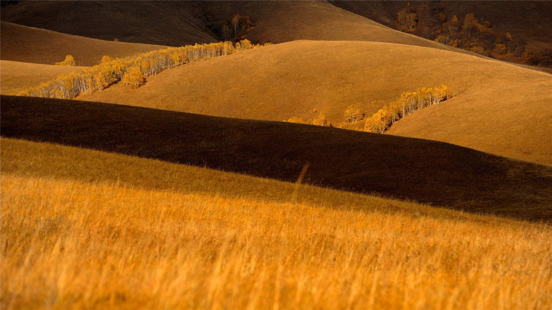 qq刷梓豪(刷网站梓豪) qq刷梓豪(刷网站梓豪)