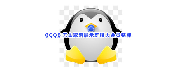 刷qq大会员网站（刷会员网站在线刷）