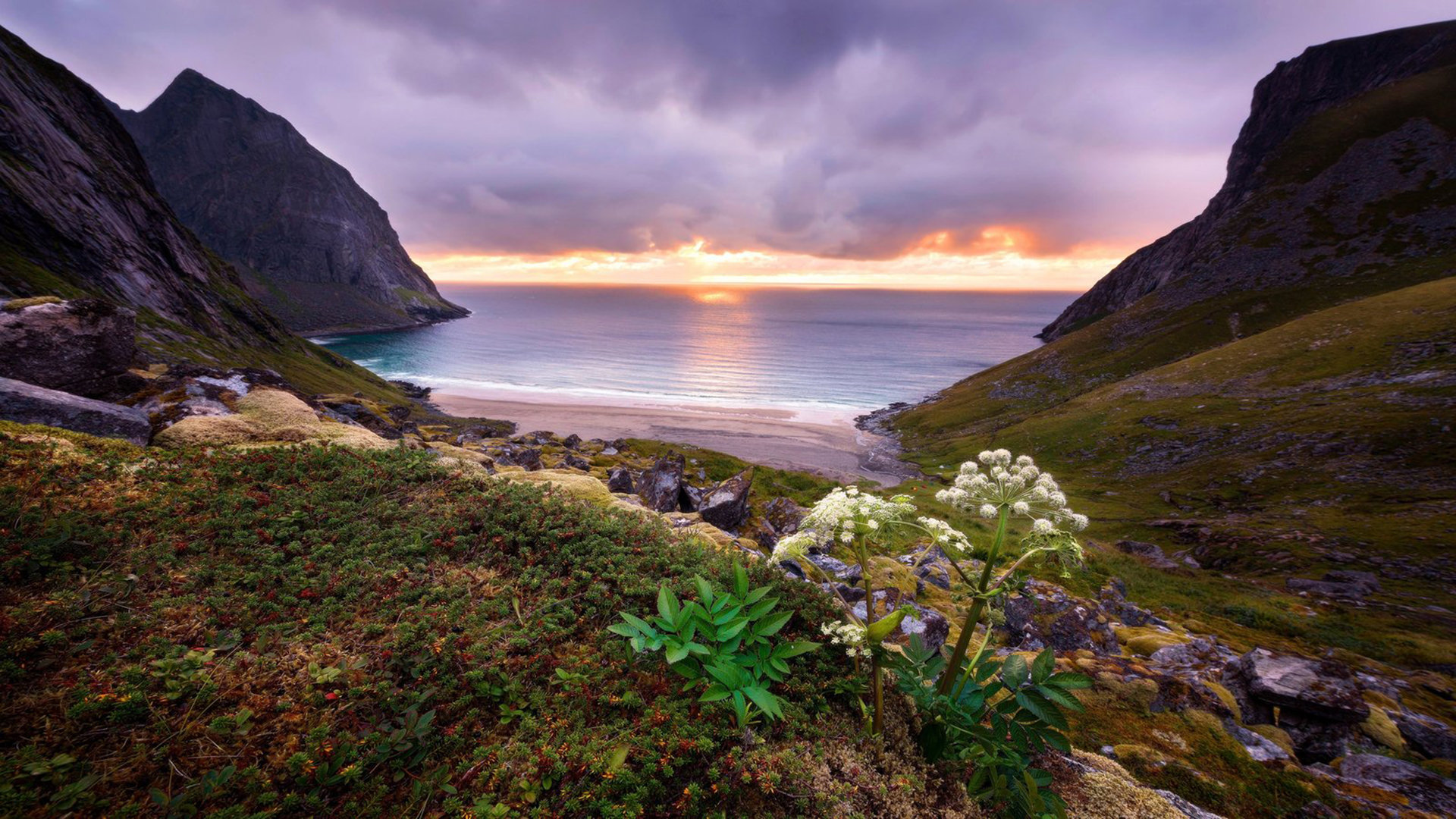 快手刷钻网站(快手实力刷网站) 快手刷钻网站(快手实力刷网站)