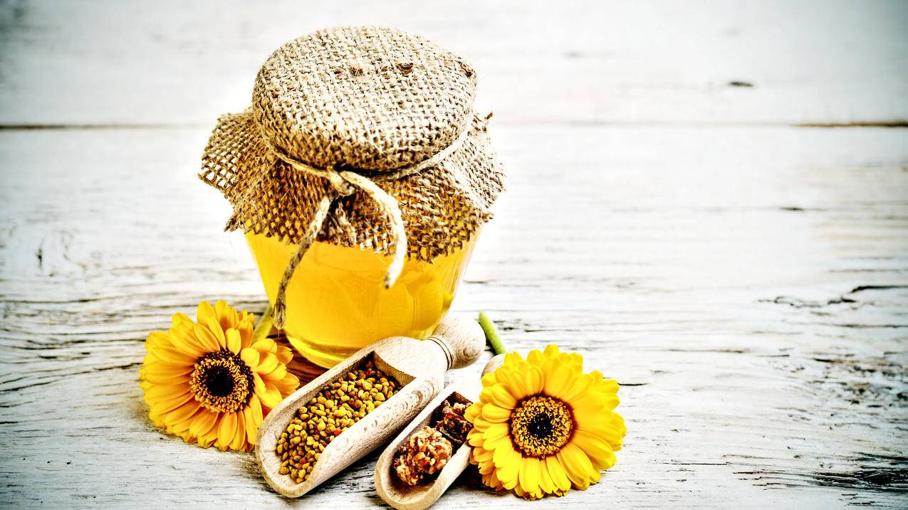 一元代刷网（元代的一代之文学）