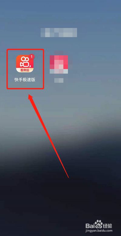 极速代网刷快手的简单介绍