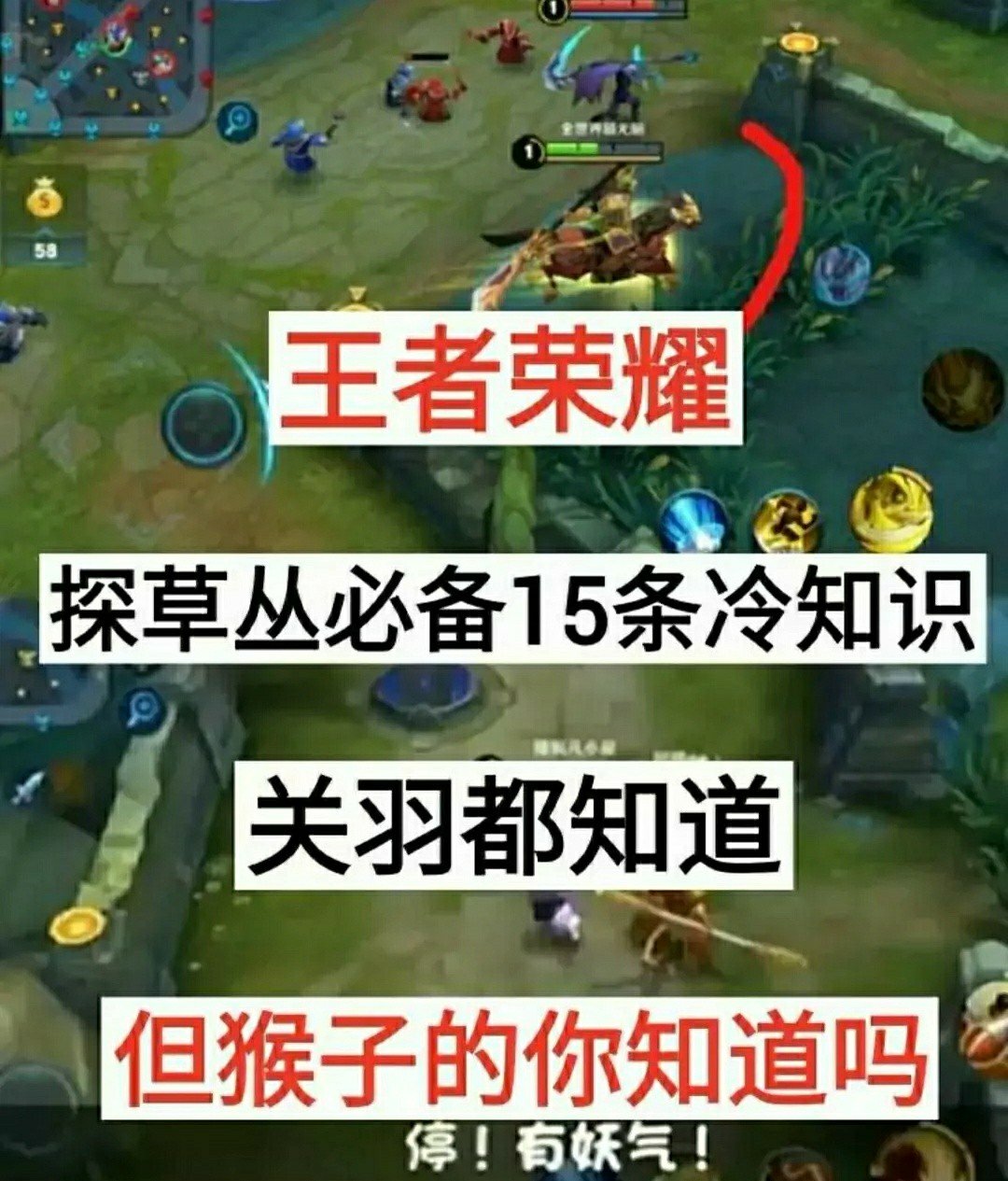 王者赞业务（王者赞有什么好处）