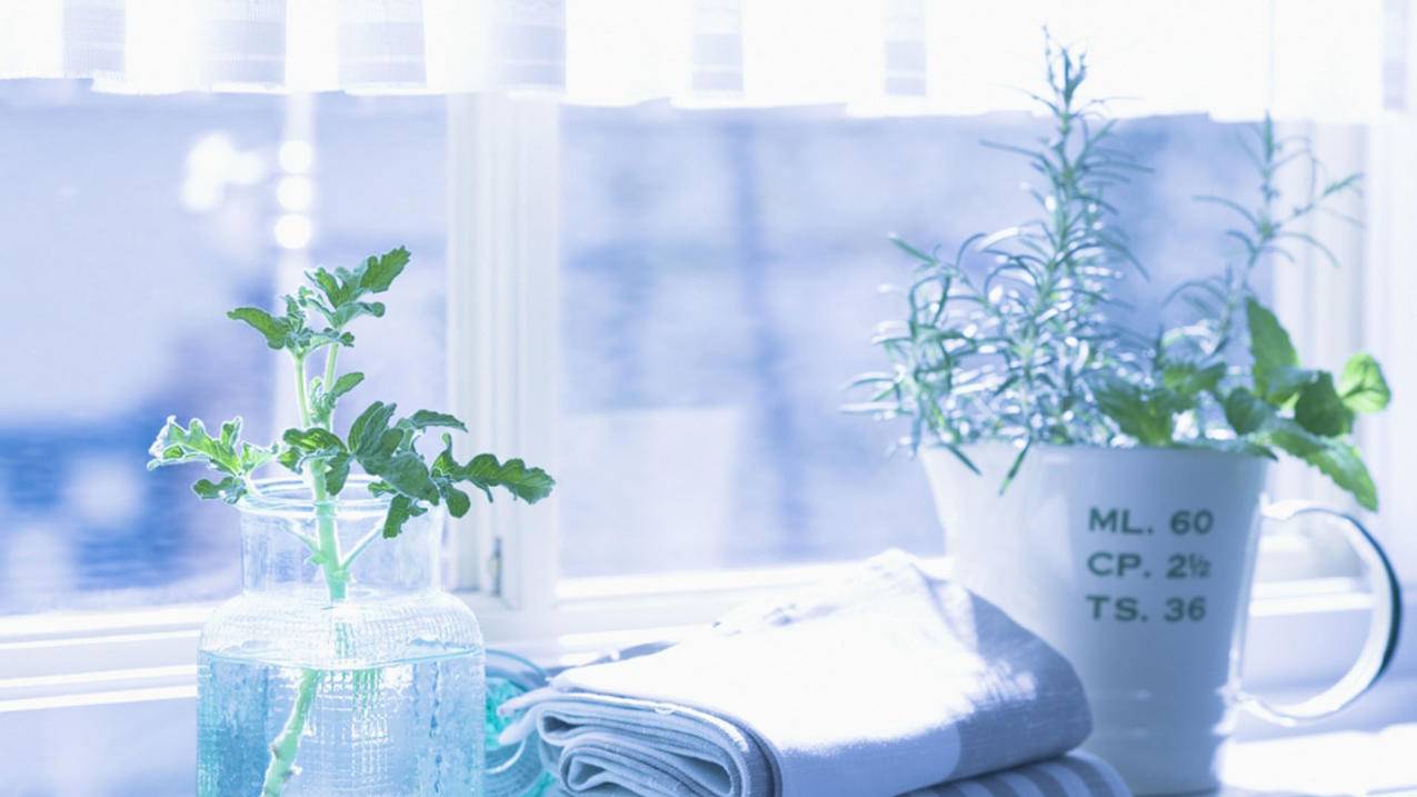 低价刷qq空间说说(刷空间说说全网最低价) 低价刷qq空间说说(刷空间说说全网最低价)