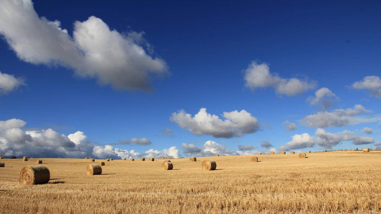 快手刷钻网站(快手刷网站免费) 快手刷钻网站(快手刷网站免费)