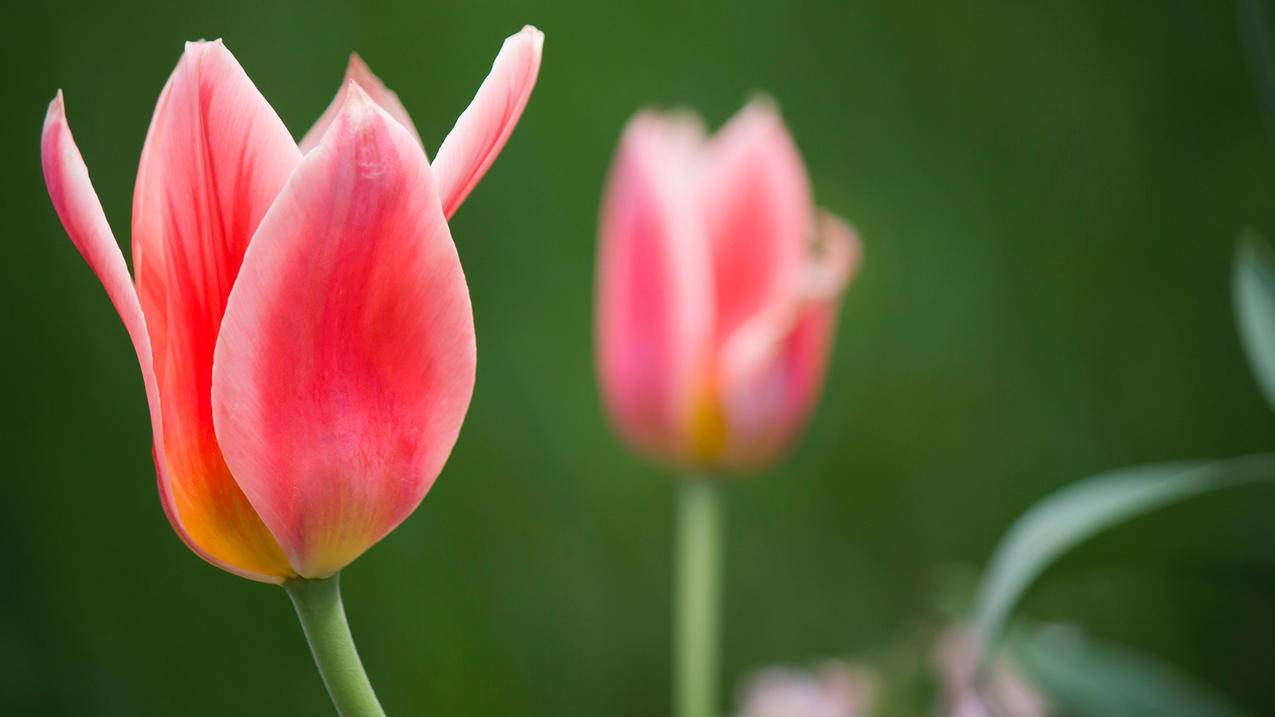 刷快手卡盟_快手卡盟平台 刷快手卡盟_快手卡盟平台