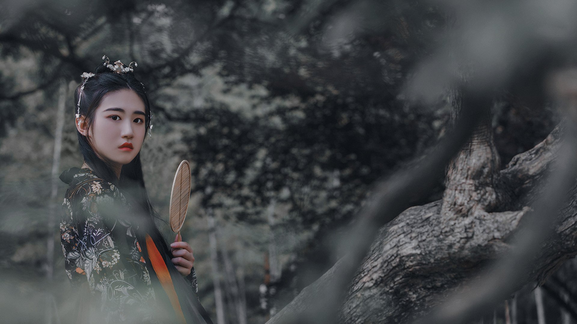 全民代刷网_全民代刷网怎么样