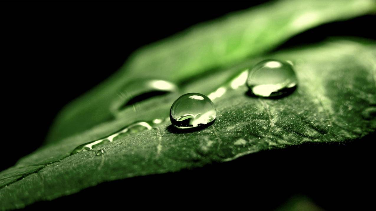 梓豪代刷平台_梓豪代刷网站快手 梓豪代刷平台_梓豪代刷网站快手