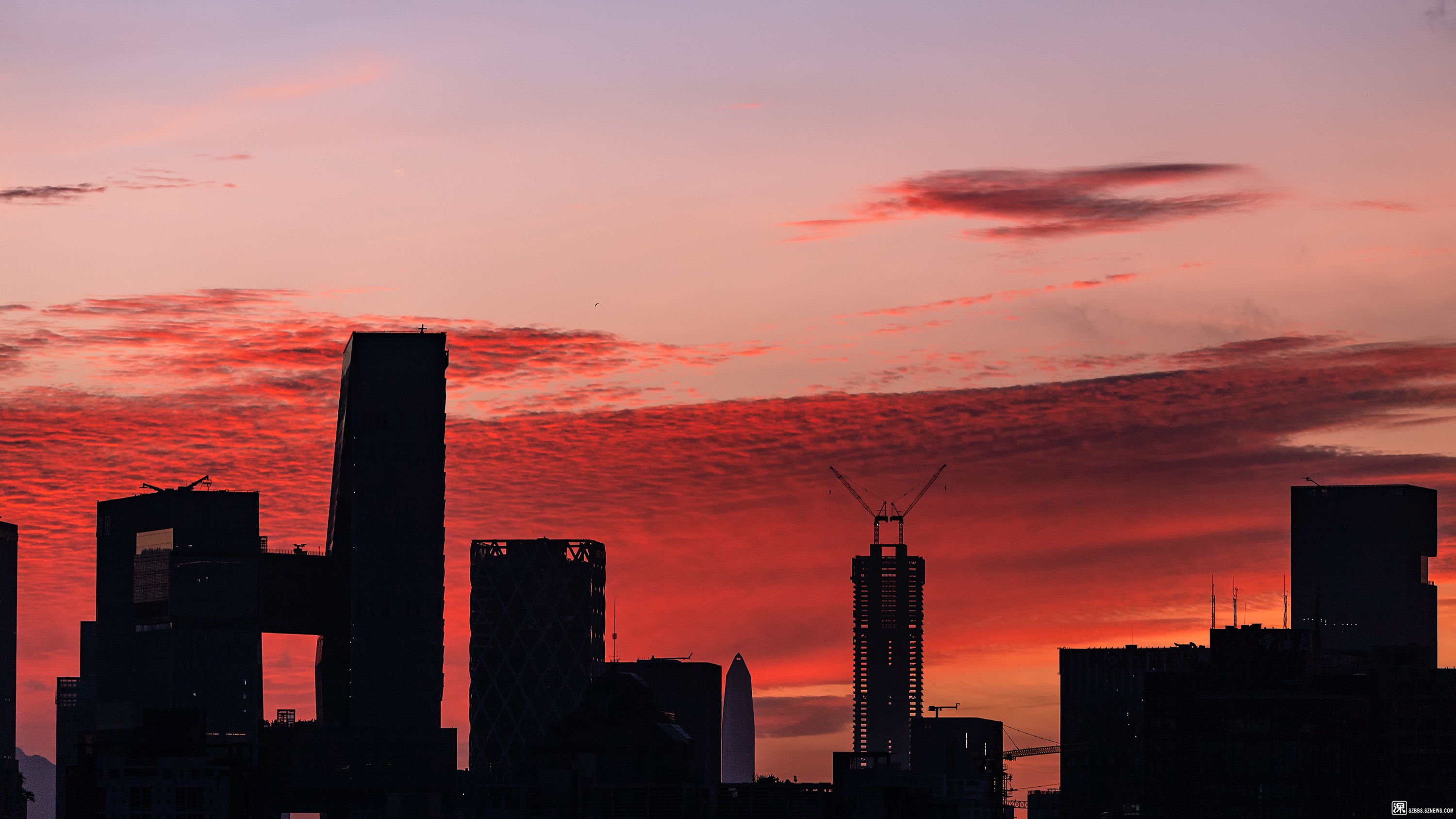 晨曦云_晨曦云海