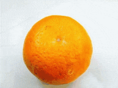 橘子代刷网_橘子平台代充