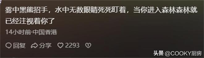 包含24小时代刷网自助下单免费的词条