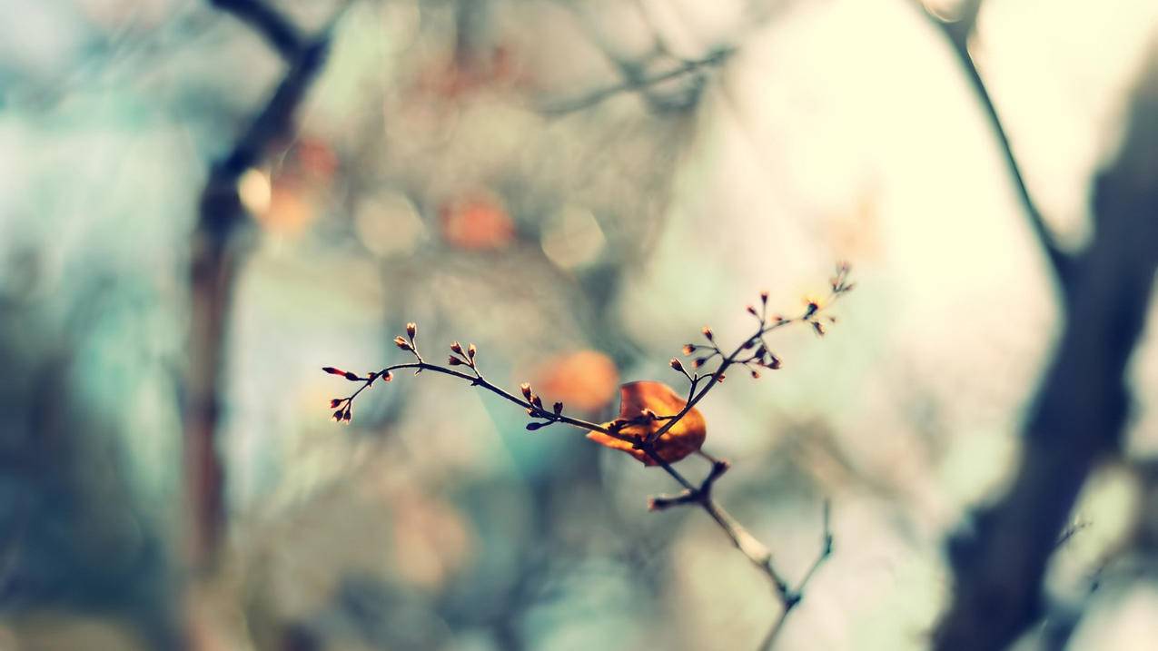 包含qq代网站刷业务的词条 包含qq代网站刷业务的词条