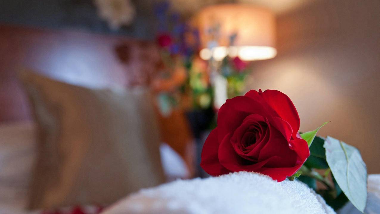 关于全网最低刷赞网址的信息 关于全网最低刷赞网址的信息