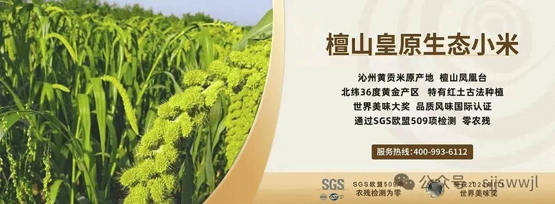 关于qq名片赞24小时自助下单平台的信息 关于qq名片赞24小时自助下单平台的信息