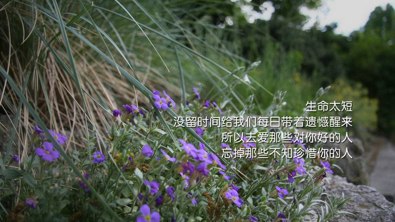 洋洋刷赞网_氧氧双键的键能 洋洋刷赞网_氧氧双键的键能