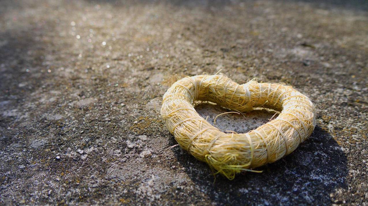 包含快手刷赞网址全网最低价的词条