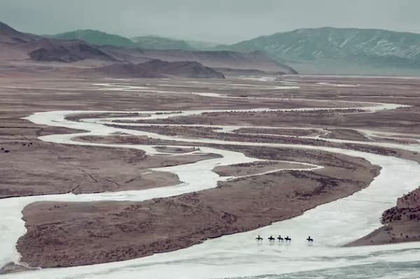 腾族_腾族网络 腾族_腾族网络