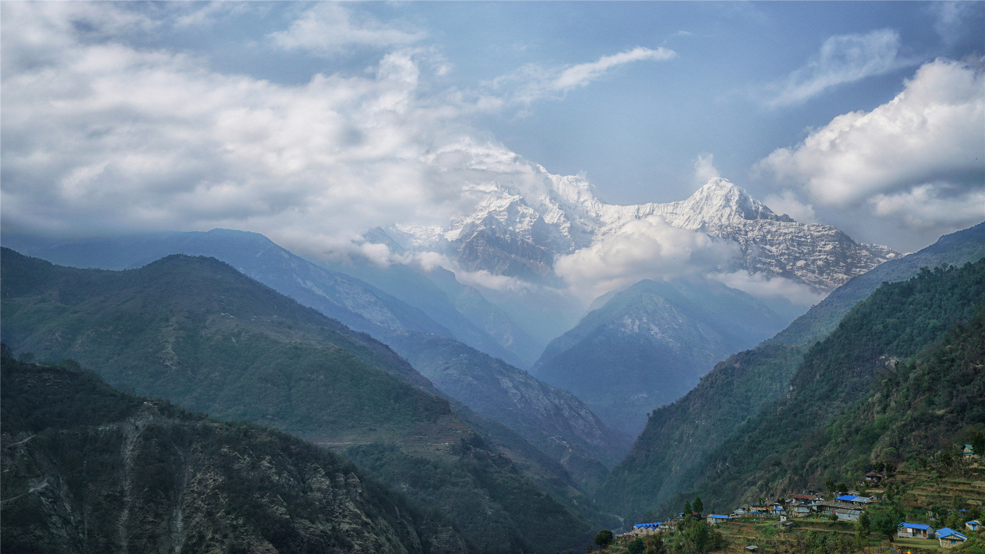 南荷快手代刷网_青荷情感快手连麦