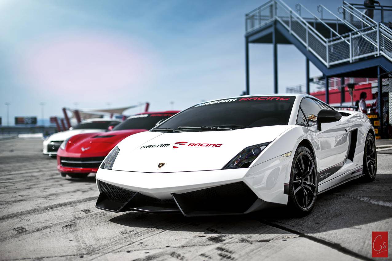 关于快手便宜刷业务的信息 关于快手便宜刷业务的信息