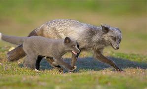 关于名片赞代刷24小时自助平台的信息 关于名片赞代刷24小时自助平台的信息