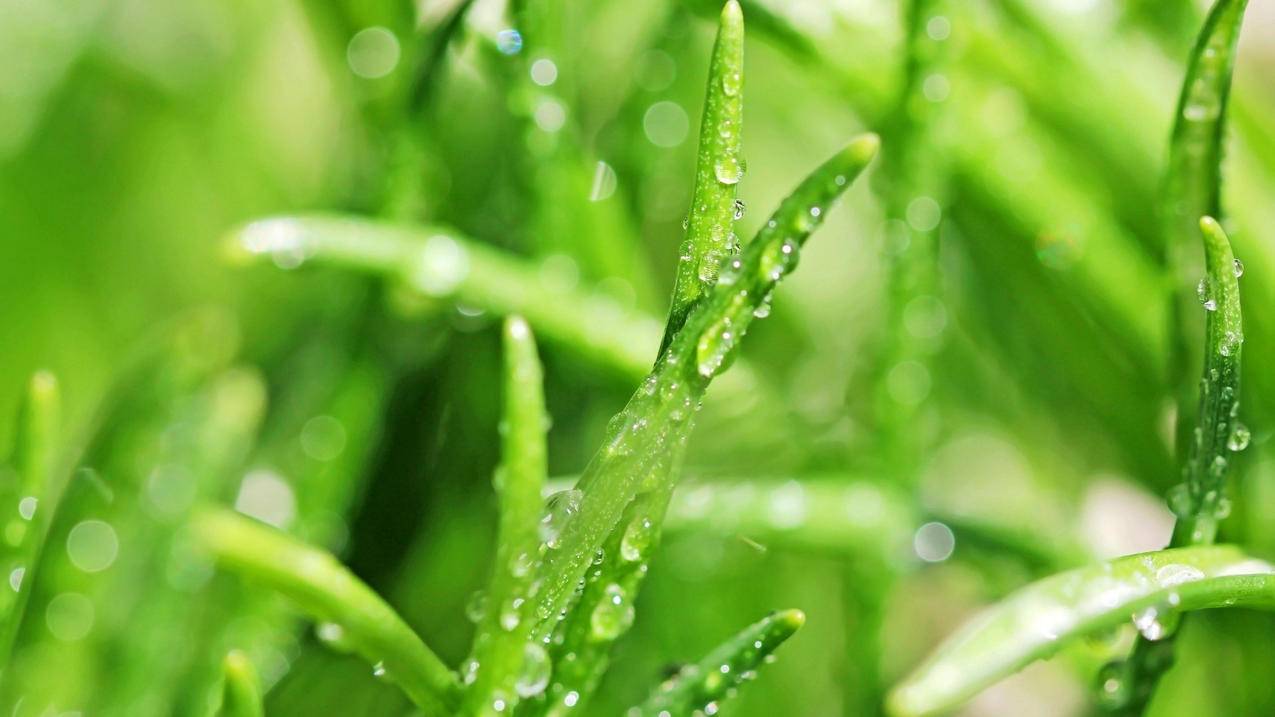 qq代刷网站免费_代刷网免费代刷 qq代刷网站免费_代刷网免费代刷