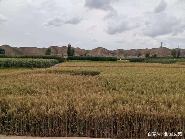 包含麦子代刷网的词条 包含麦子代刷网的词条