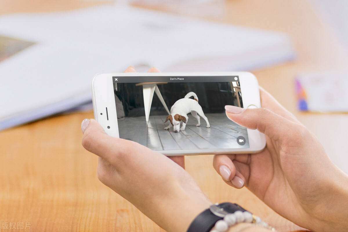 免费带刷网_免费代刷网站链接 免费带刷网_免费代刷网站链接