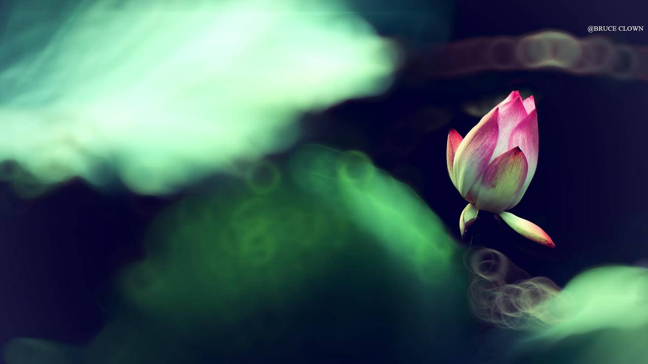 颜夕代刷网站_颜夕卡盟怎么免费刷永久钻 颜夕代刷网站_颜夕卡盟怎么免费刷永久钻