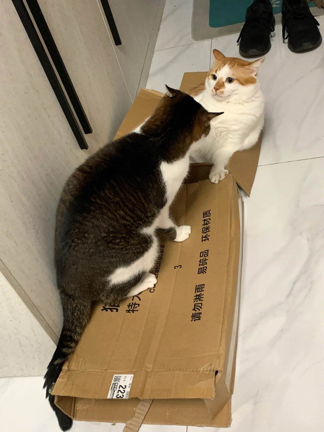 代刷小老弟_小哥哥代刷网