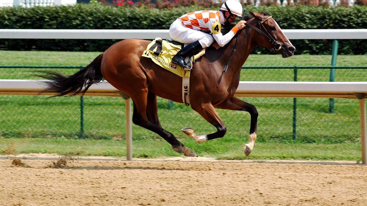 允昌代刷_允昌卡盟平台