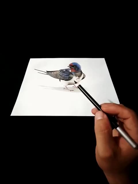 作品双击_作品双击赞50个网站怎么弄