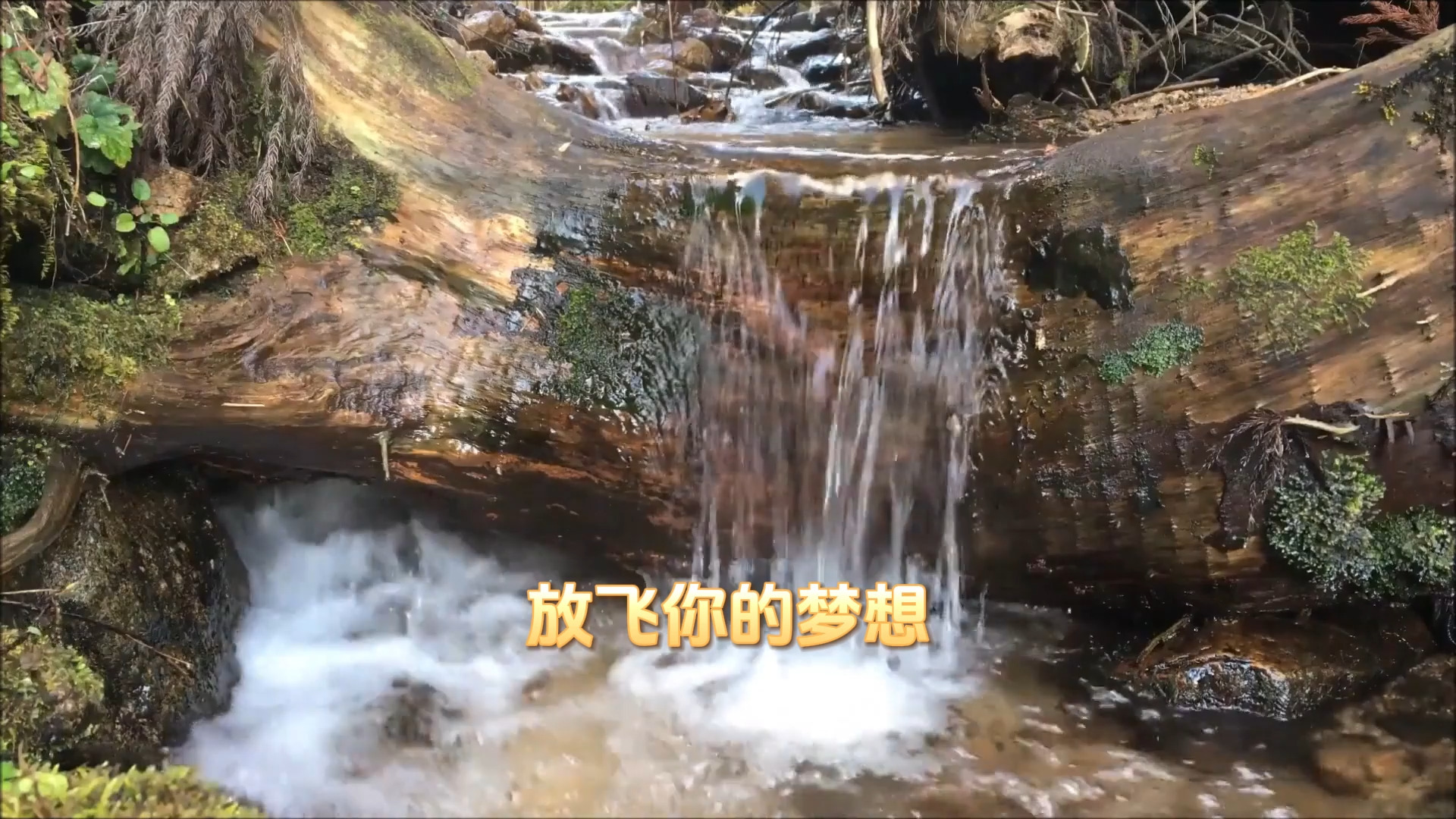 梦想秒刷网_梦想社区代刷网怎么样