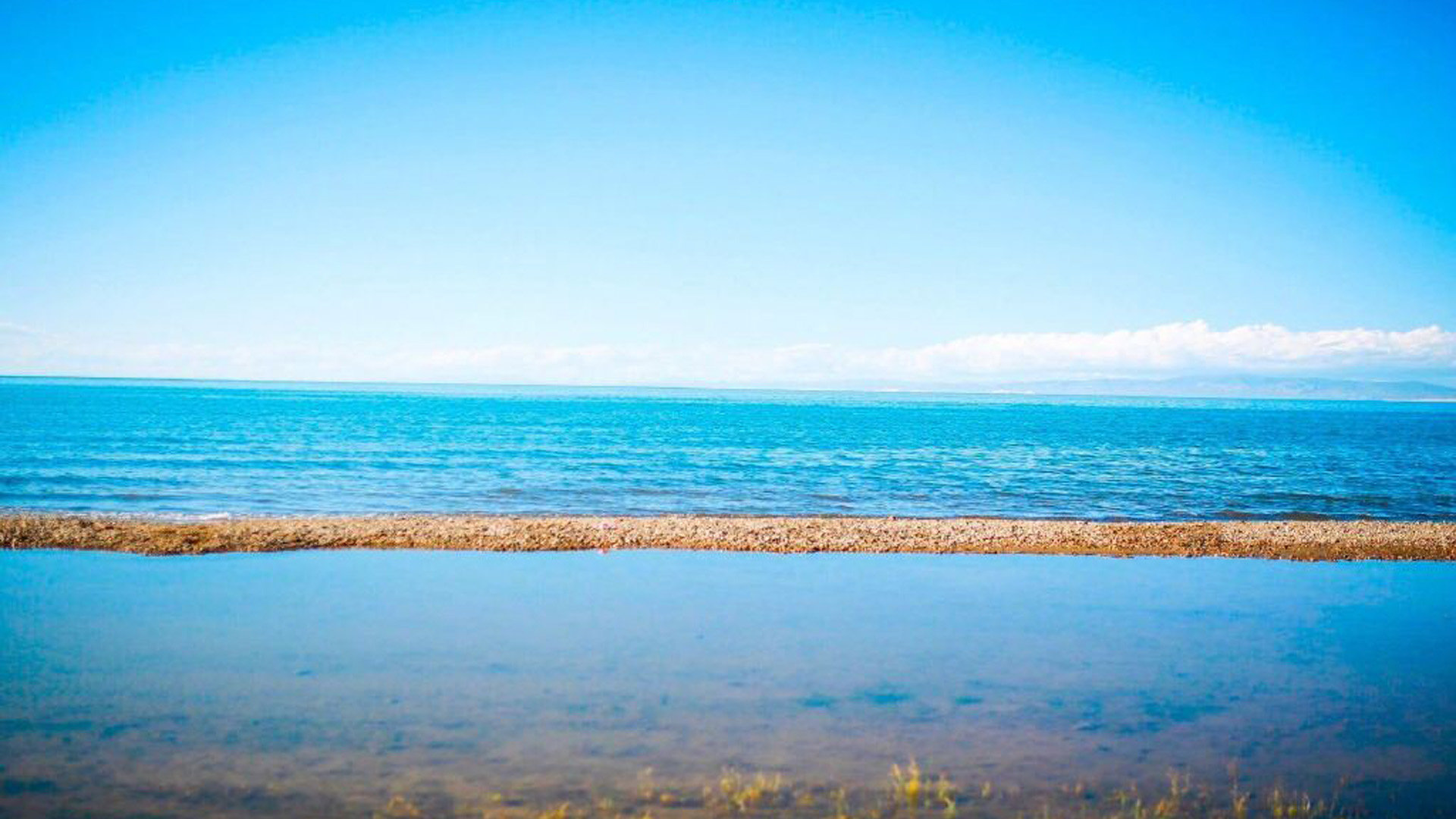 QQ免费空间点赞_空间点赞免费版 QQ免费空间点赞_空间点赞免费版