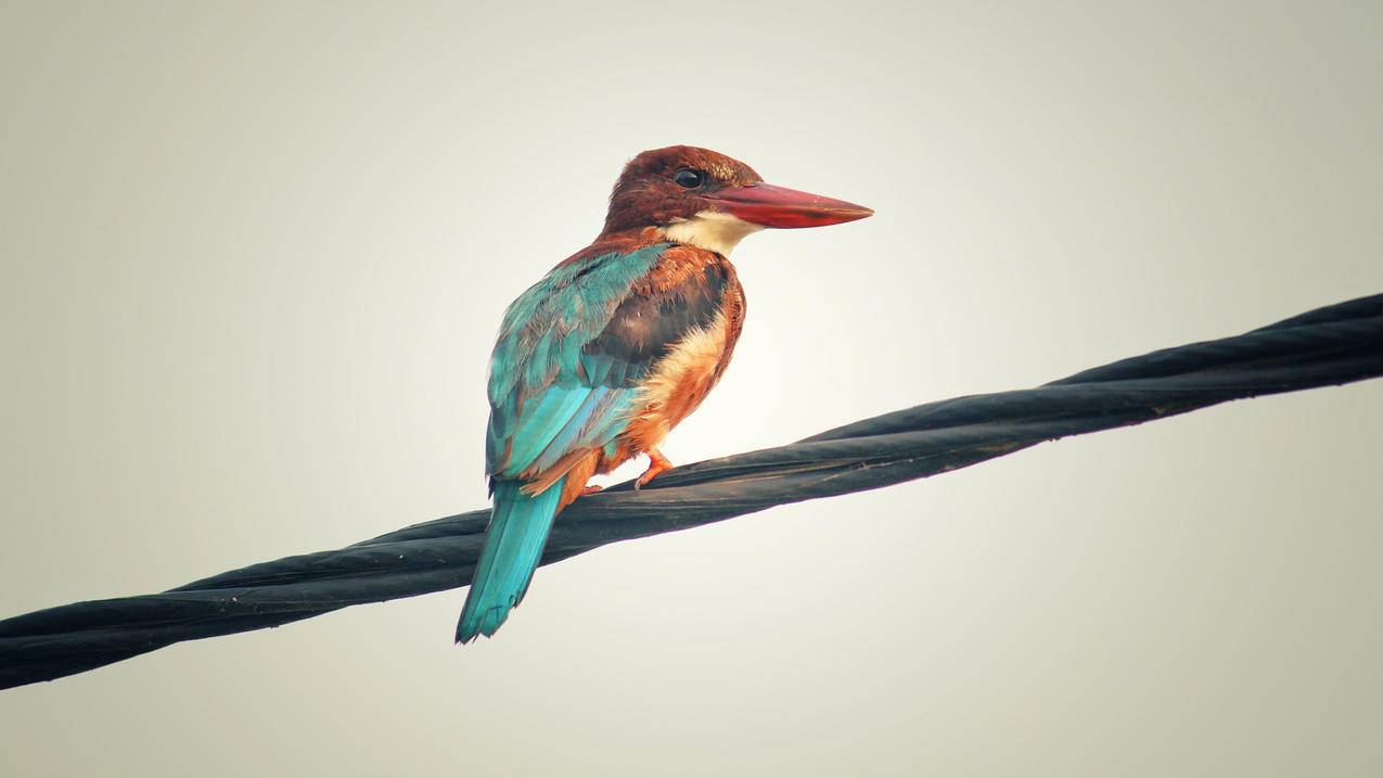 刷赞微信支付平台_微信支付平台投诉电话 刷赞微信支付平台_微信支付平台投诉电话