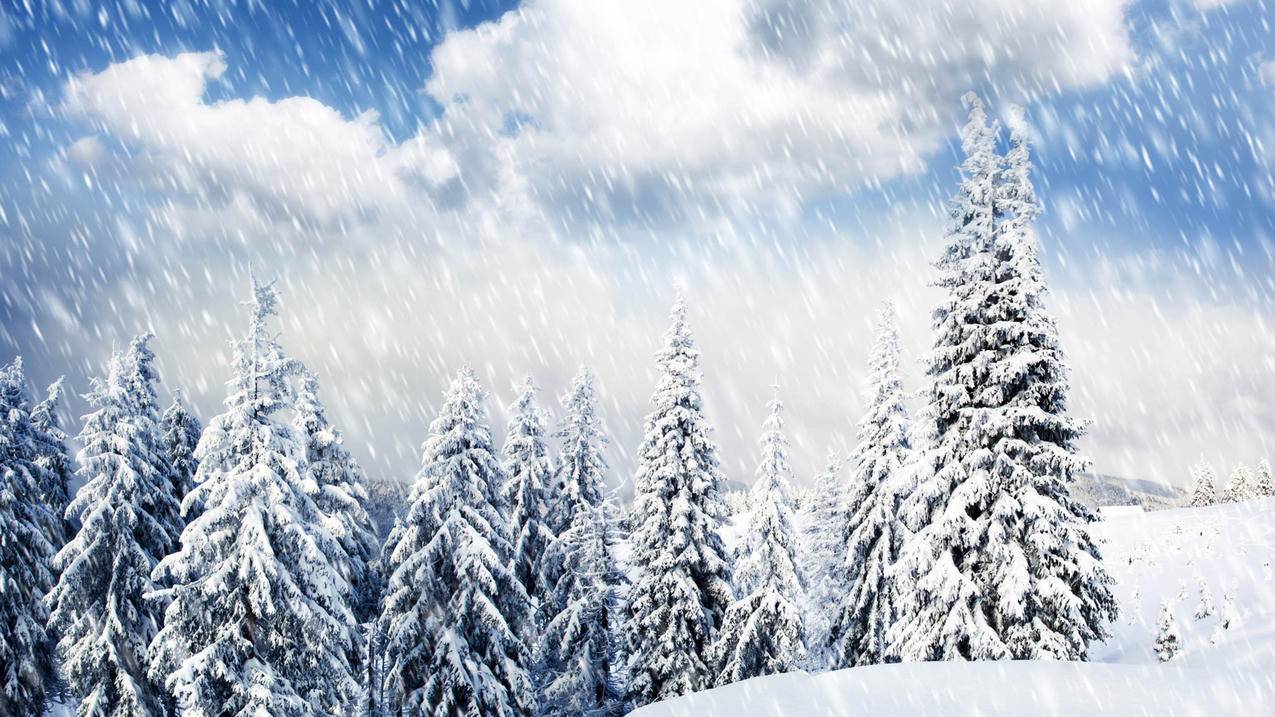 ks秒赞网_秒赞网怎么用 ks秒赞网_秒赞网怎么用