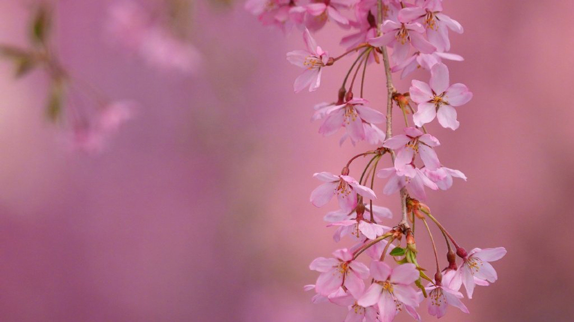 快手播放量代刷_快手播放量多少算正常