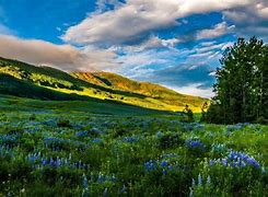 24小时自助下单QQ_24小时自助下单全网最低价 24小时自助下单QQ_24小时自助下单全网最低价