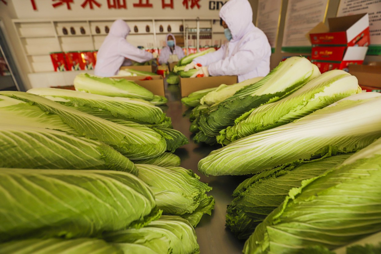 大白菜刷赞网_大白菜赞助商密码 大白菜刷赞网_大白菜赞助商密码