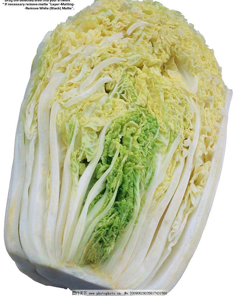 大白菜刷赞网_大白菜赞助商密码 大白菜刷赞网_大白菜赞助商密码