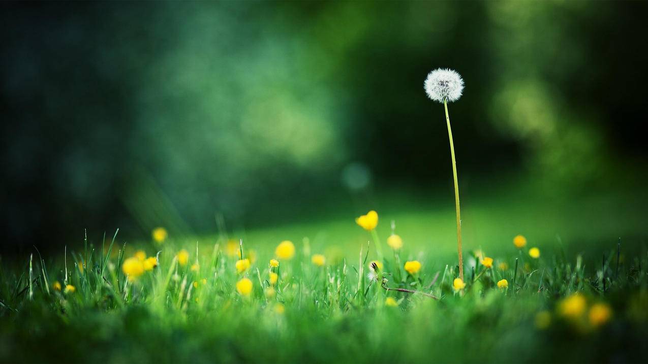 六月代刷快手_九月代刷网快手 六月代刷快手_九月代刷网快手