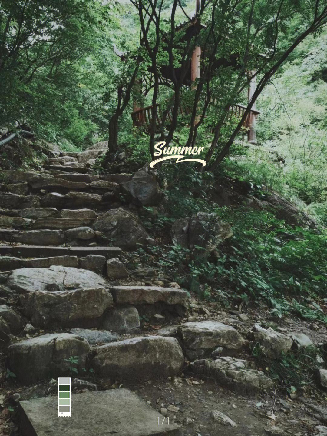 彩虹代刷网_彩虹代刷网开源源码