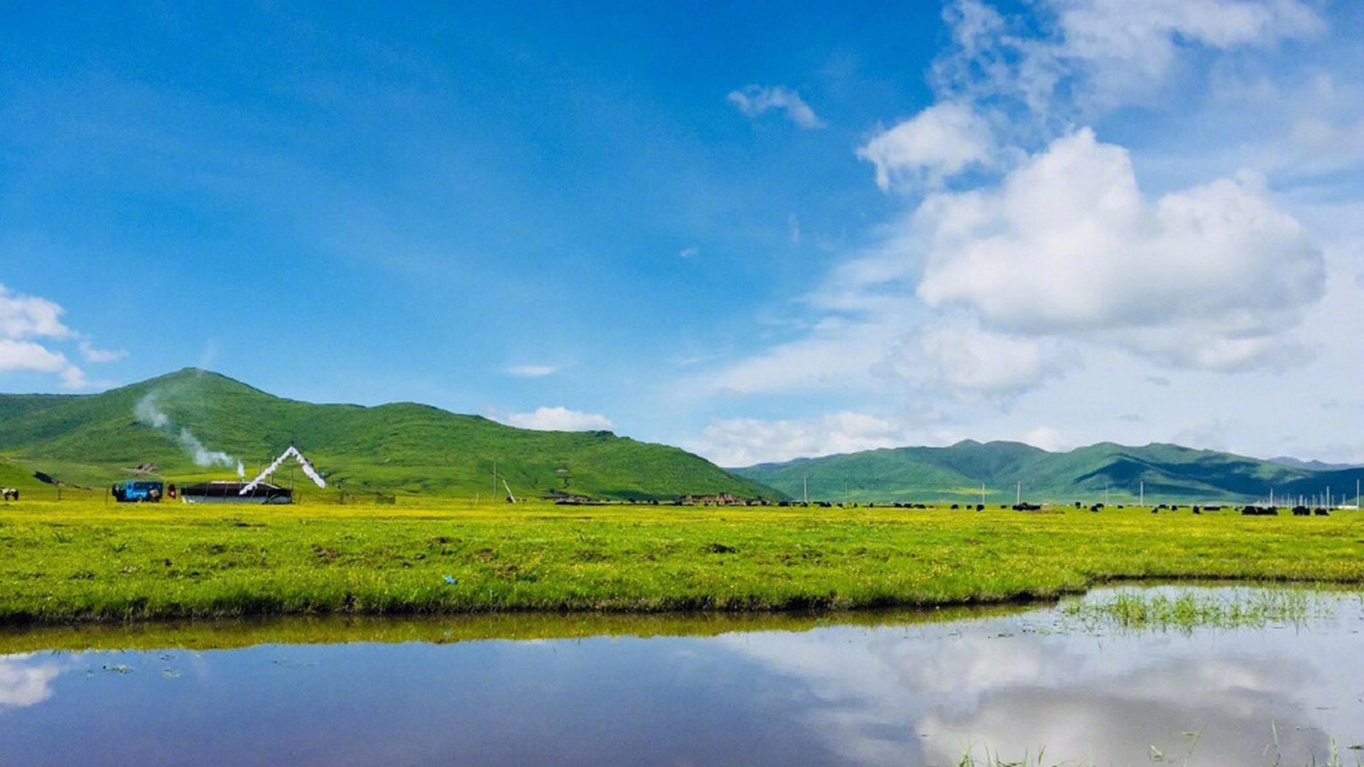 腾讯代刷_腾讯代刷弹幕 腾讯代刷_腾讯代刷弹幕